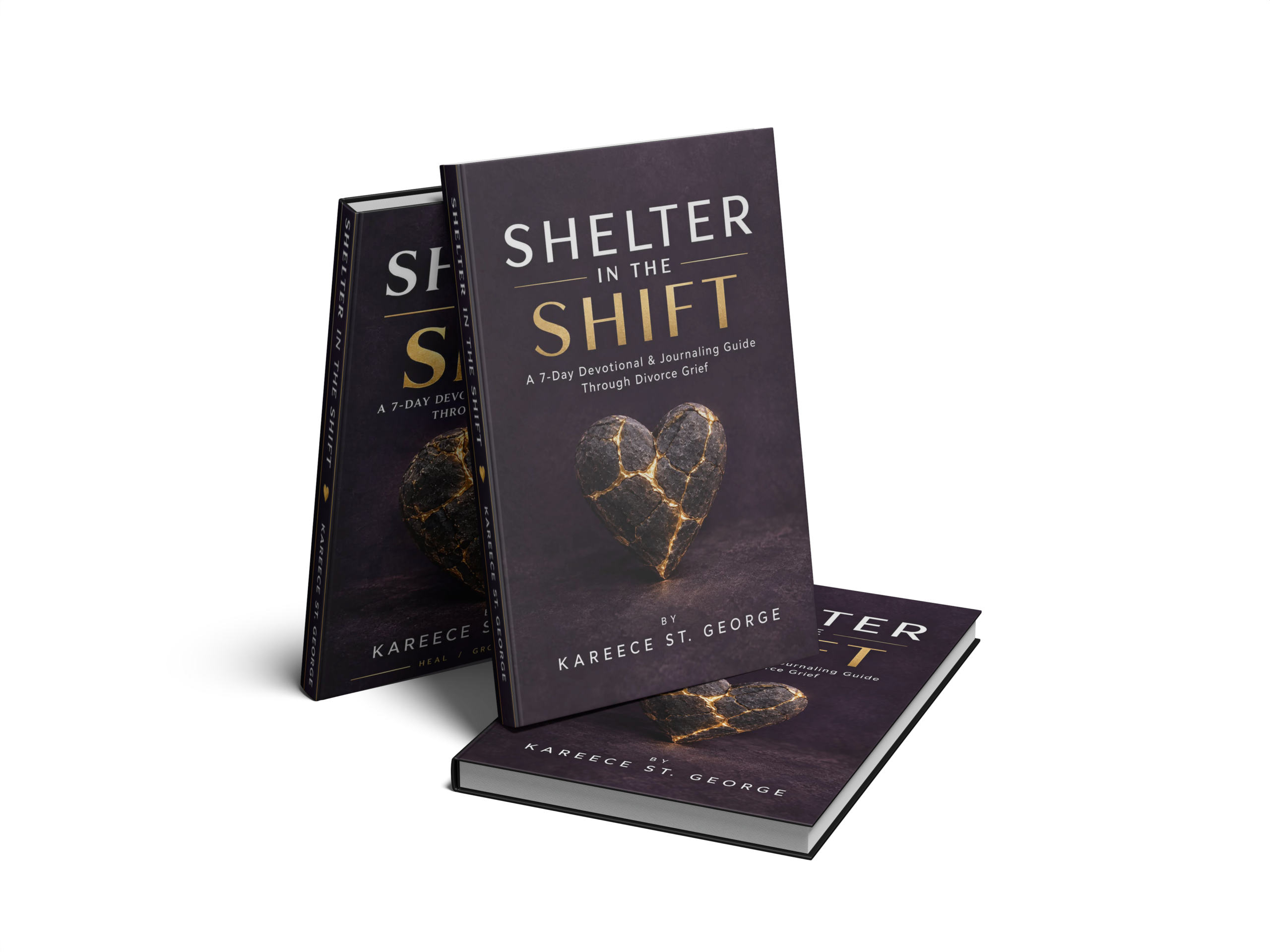 Shelter in the Shift by Kareece St. George